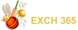 Winstarexchange365 Logo